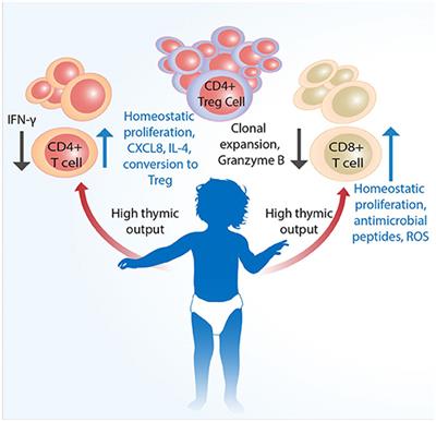 Understanding Acute Lymphoblastic Leukemia in Children