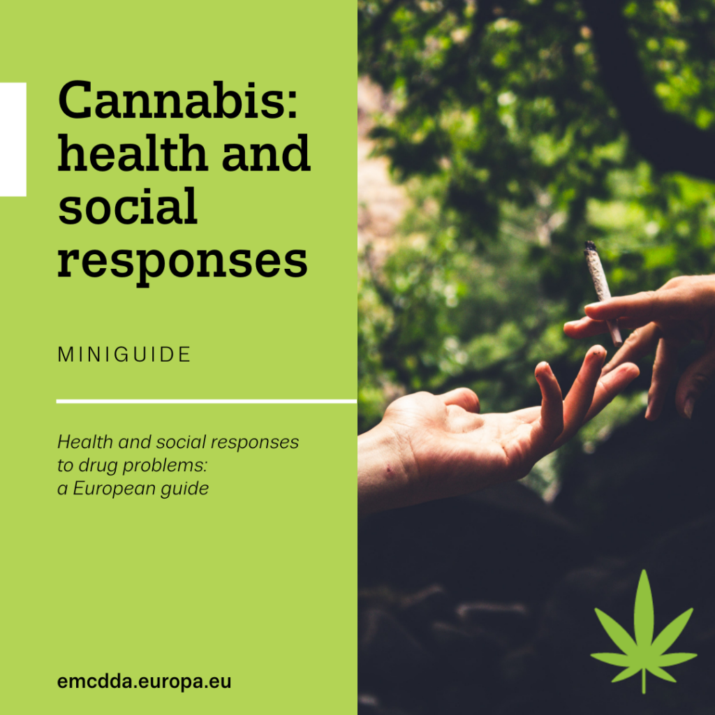 Understanding and Addressing Cannabis Dependency