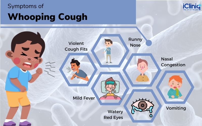 Understanding Bordetella Pertussis: Causes, Symptoms, and Treatment