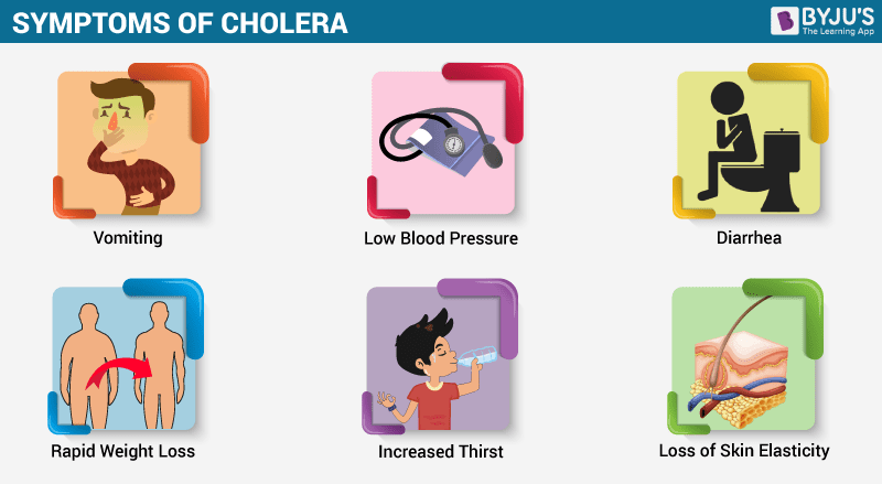 Understanding Cholera: Causes, Symptoms, and Treatment