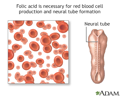 Understanding Folate Deficiency Anemia
