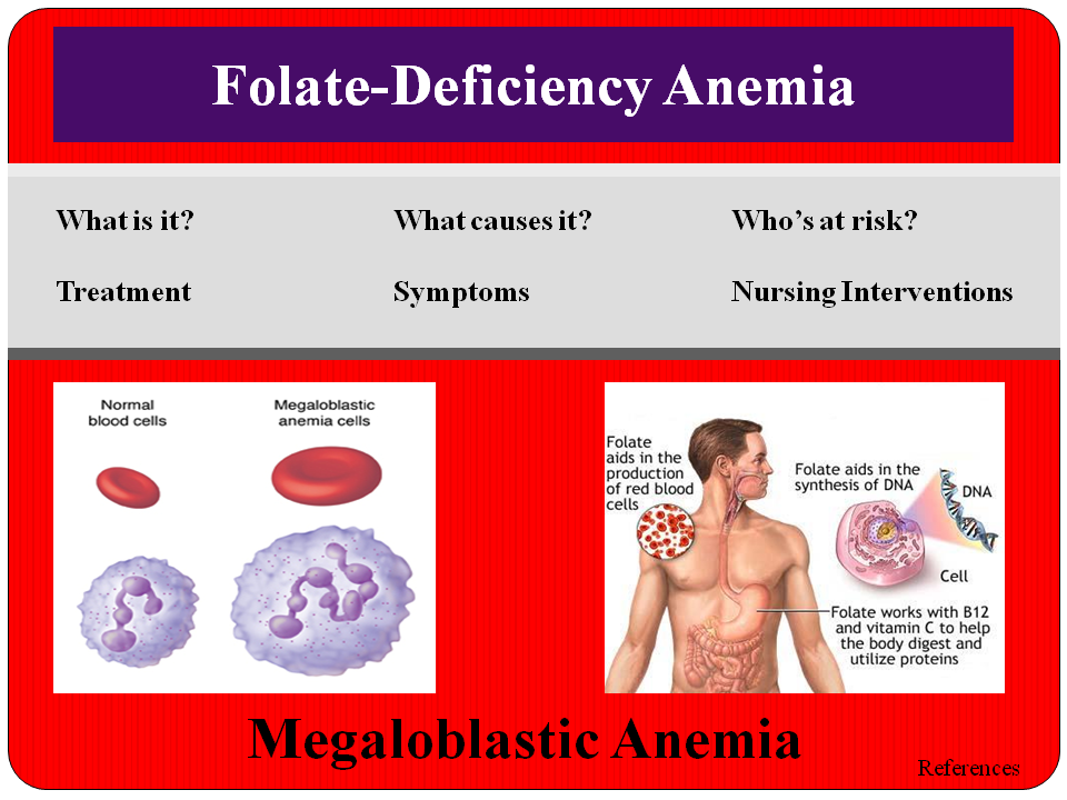 Understanding Folate Deficiency Anemia