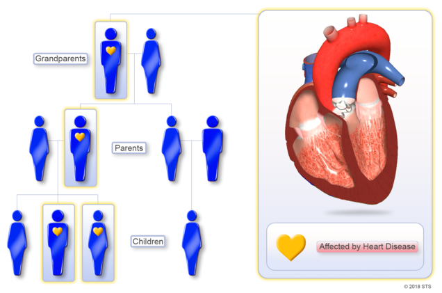 Understanding Inherited Heart Conditions