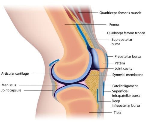Understanding Knee Injuries