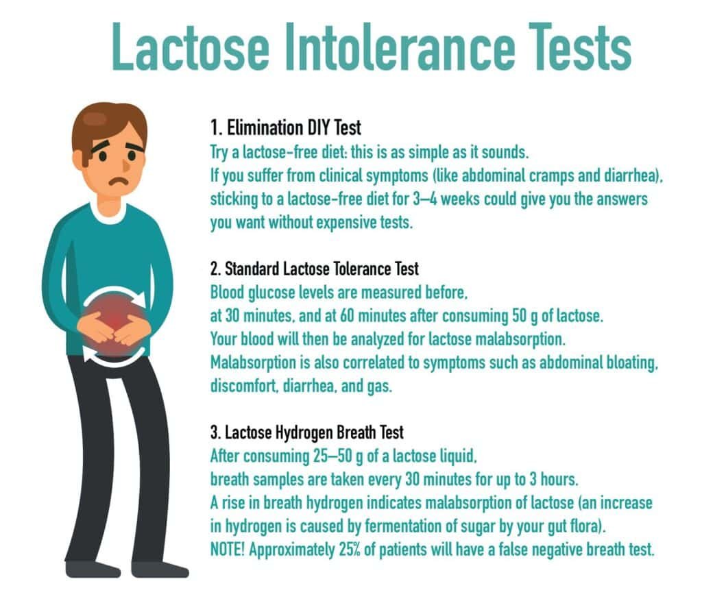 Understanding Lactose Intolerance