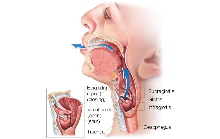 Understanding Larynx Cancer