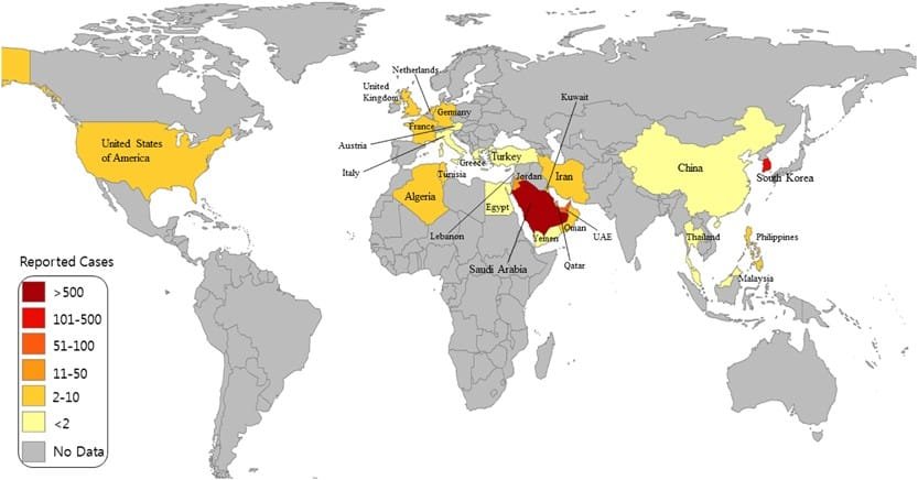 Understanding Middle East Respiratory Syndrome Coronavirus