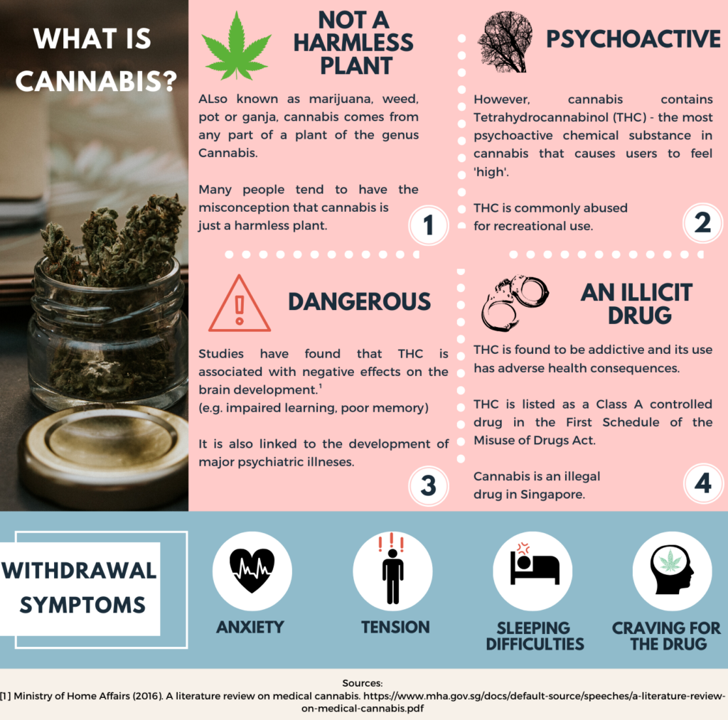 Understanding the Dangers of Cannabis Addiction