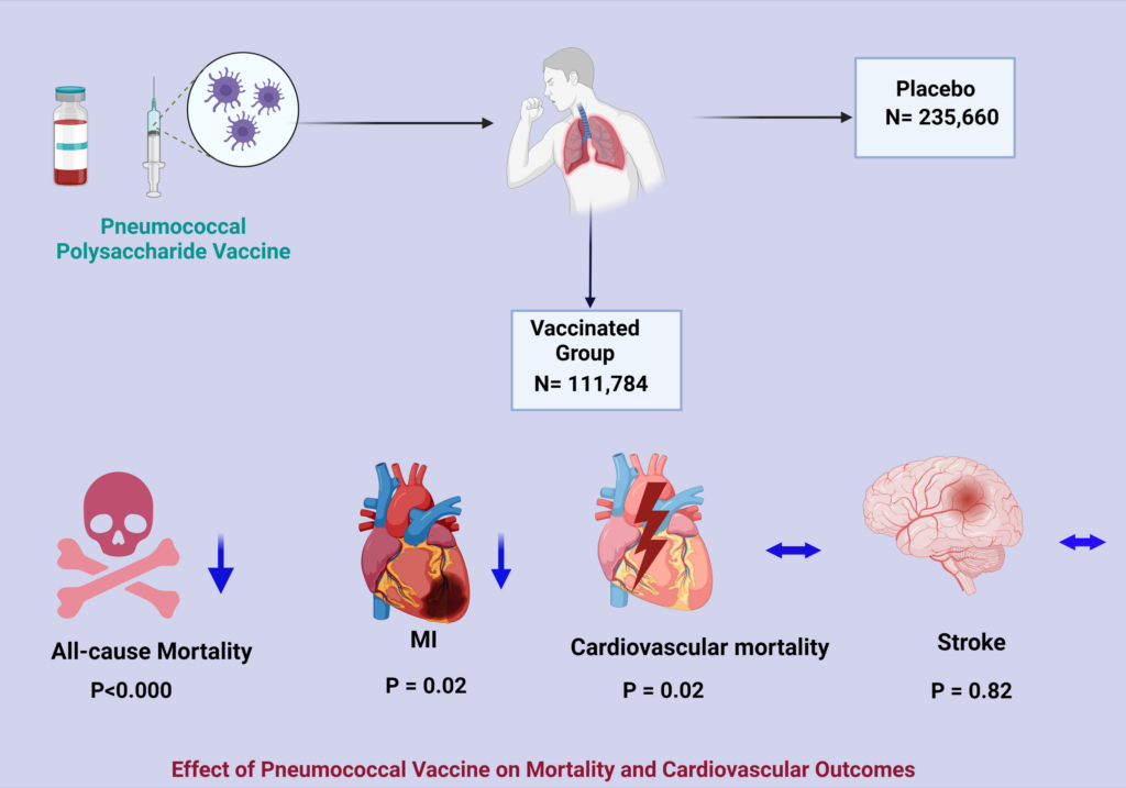 Understanding the Impact of Invasive Pneumococcal Disease