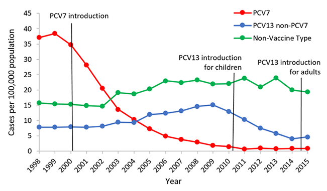 Understanding the Impact of Invasive Pneumococcal Disease