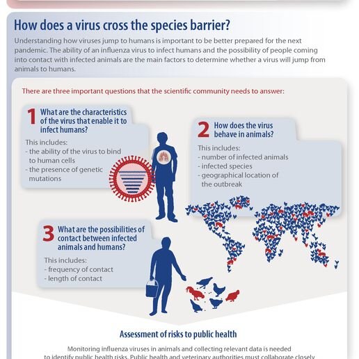 Understanding the Influenza Virus and Its Effects on Humans