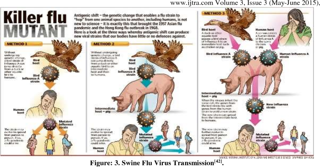 Unraveling the Link: Influenza in Humans and Its Swine Origin