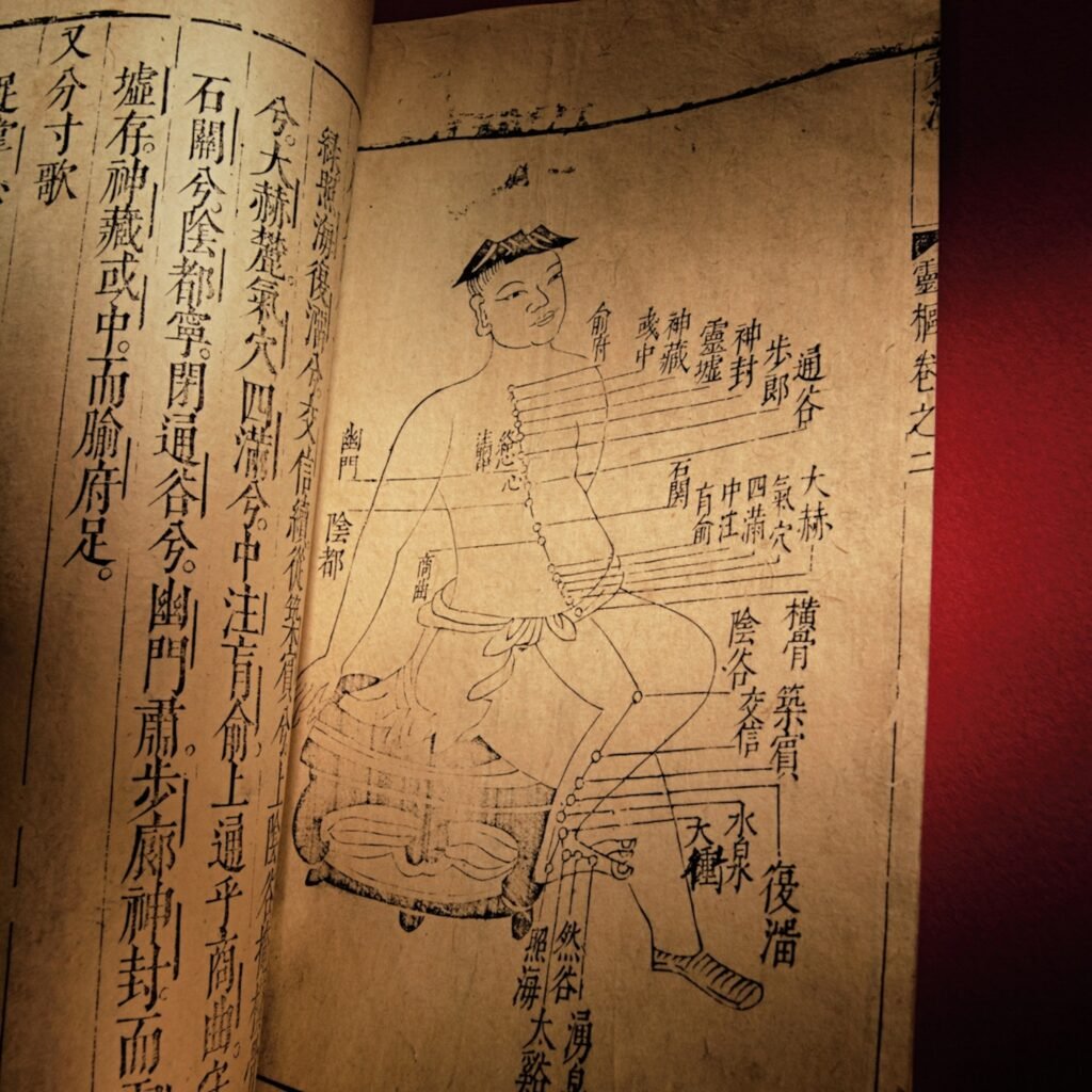 Unveiling The Secrets Of Traditional Chinese Medicine: Acupuncture ...