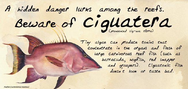 What You Need to Know About Ciguatera Fish Poisoning