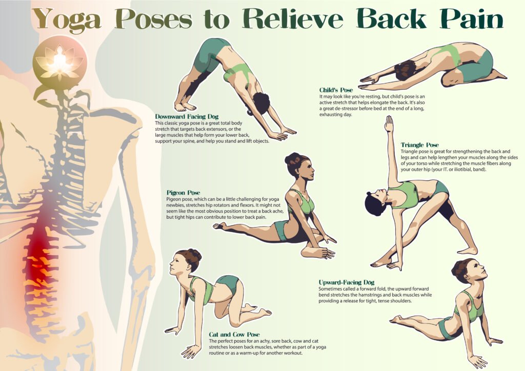 Yoga Poses to Help Ease Back Pain