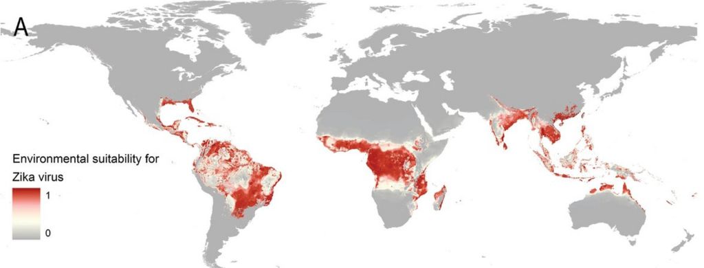 Zika Virus Disease: A Global Health Concern
