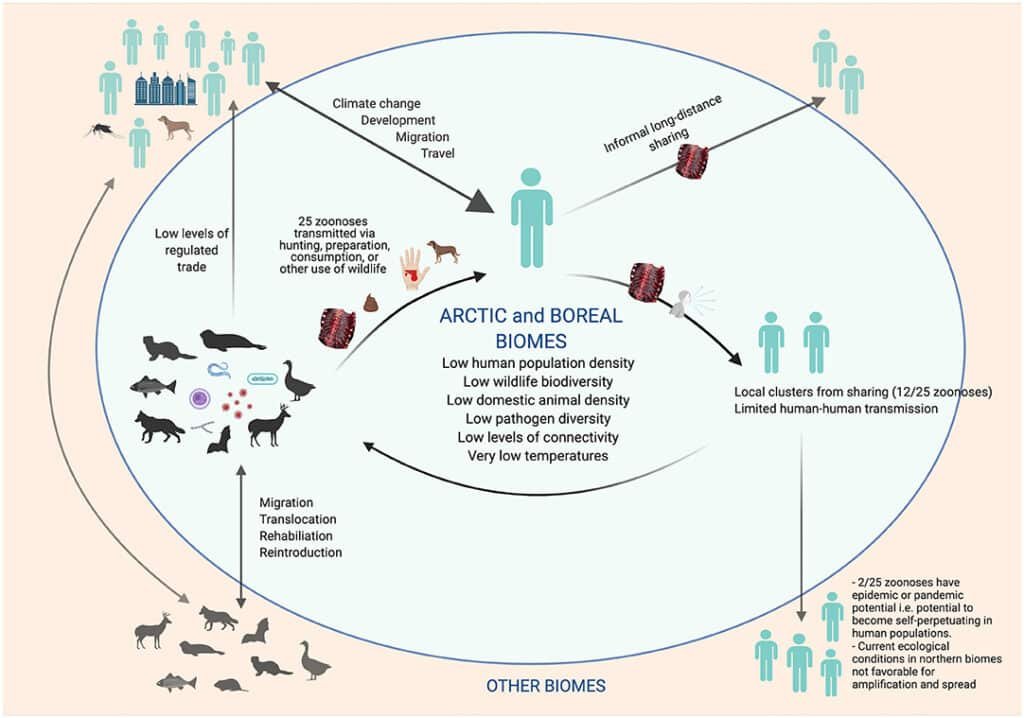 Zoonosis Disease Epidemiology: A global perspective