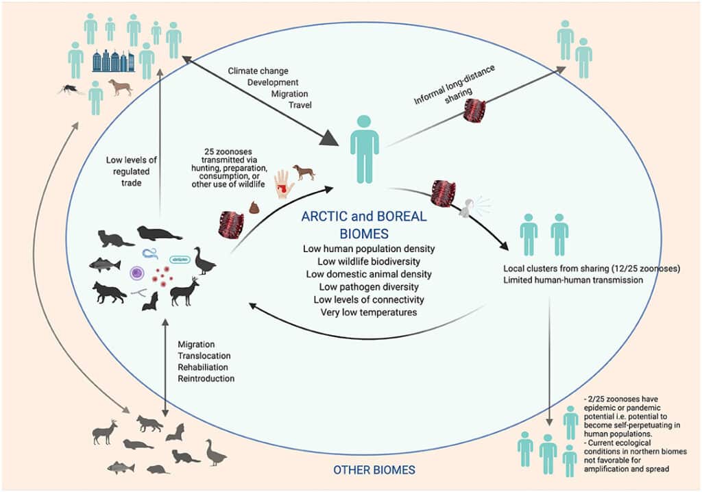 Zoonosis Disease Outbreaks: Challenges and solutions Zoonosis Disease Outbreaks: Challenges and solutions