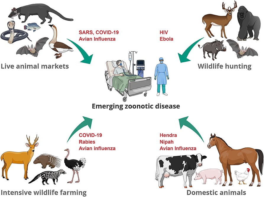Zoonosis Disease Outbreaks: Challenges and solutions Zoonosis Disease Outbreaks: Challenges and solutions