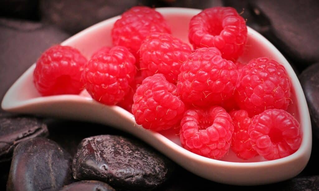 The Importance of Vitamin E for Overall Health