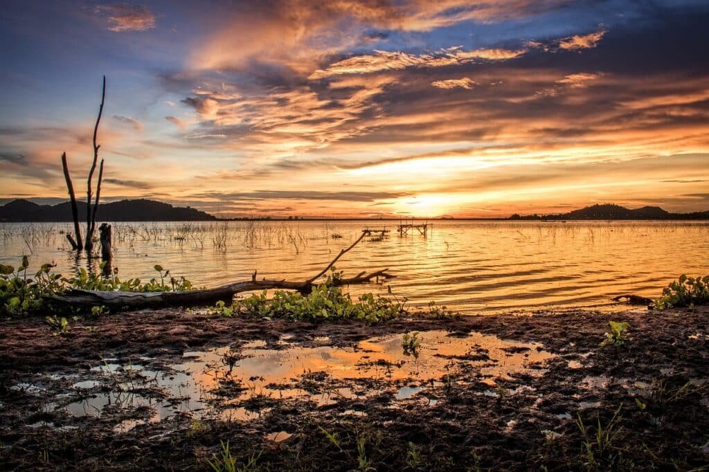 10 Best Joint Pain Relief Options