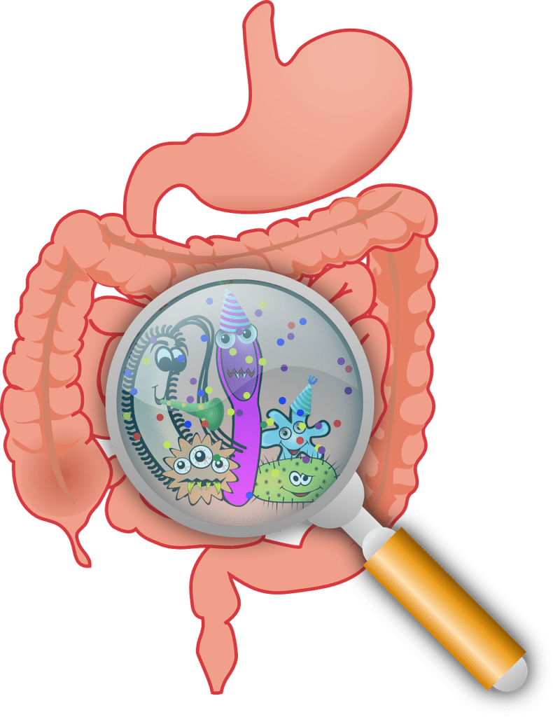 Do Boiled Eggs Cause Acidity?