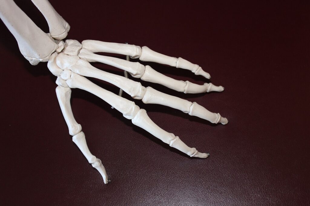 Joint Pain Causes In Young Adults