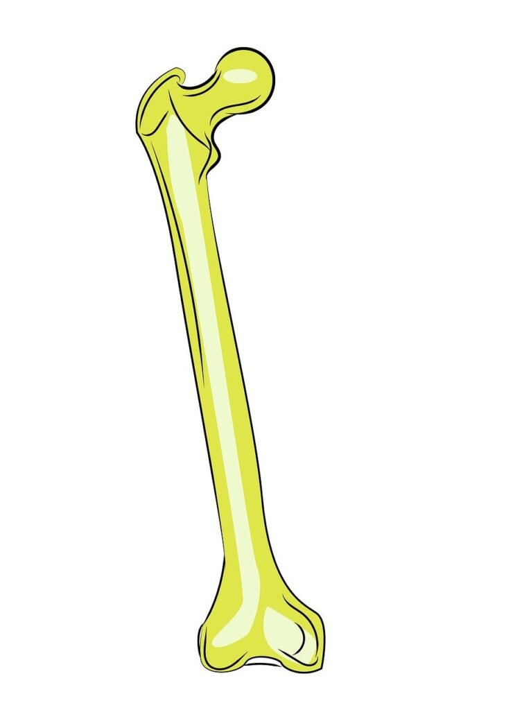 Knee Pain Causes In Young Adults