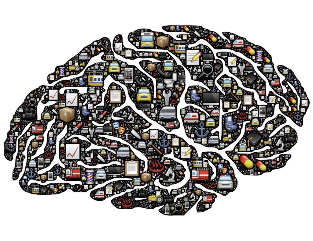 Brain Resilience Supplements