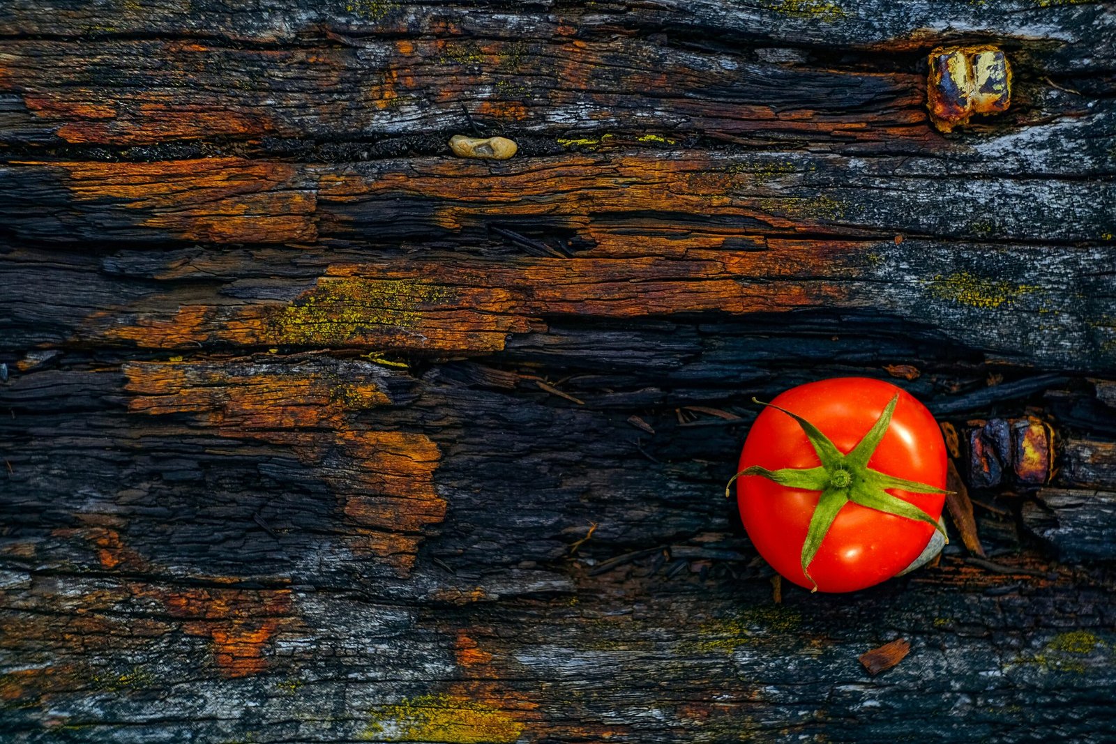 Foods Best For Acid Reflux