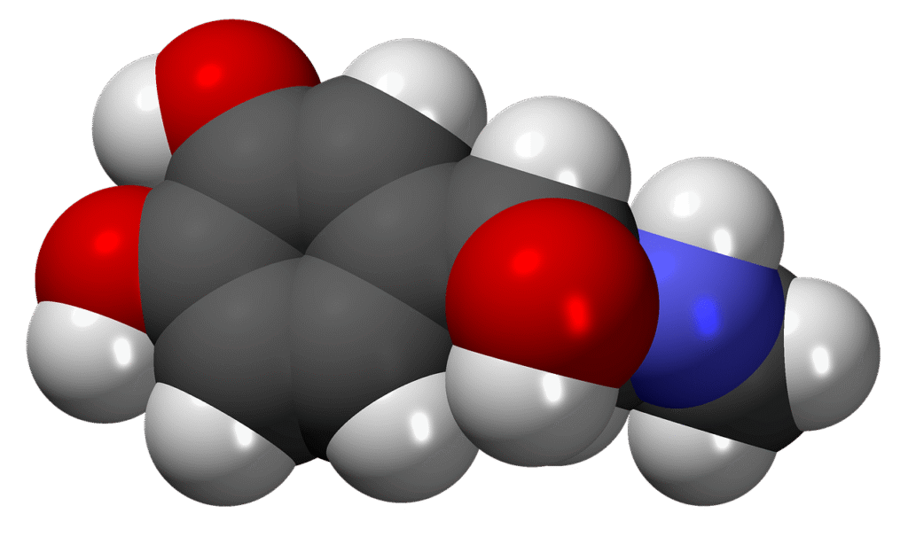 Neurotransmitter Support