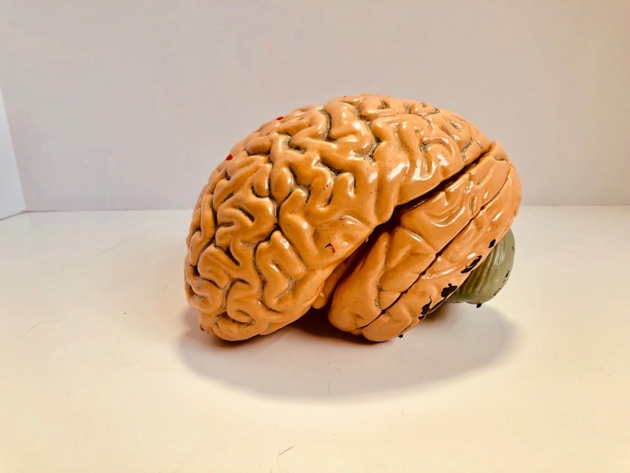 Tumor Effects Brain Function