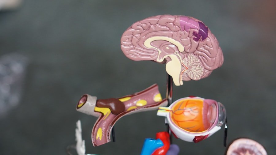 Photo Acoustic Neuroma Checkups