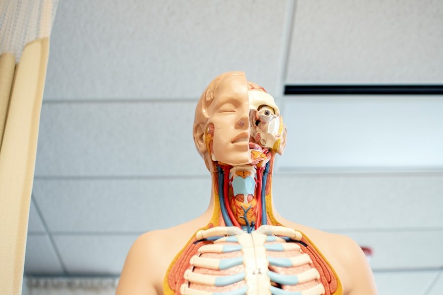 Photo Facial Nerve Complications