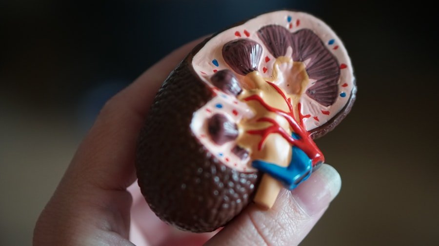 Photo Tumor Size